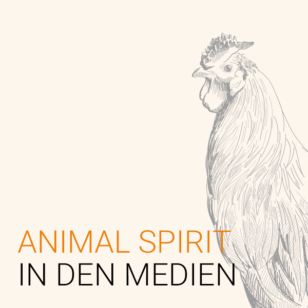Animal Spirit - Screendesign, Website Elemente